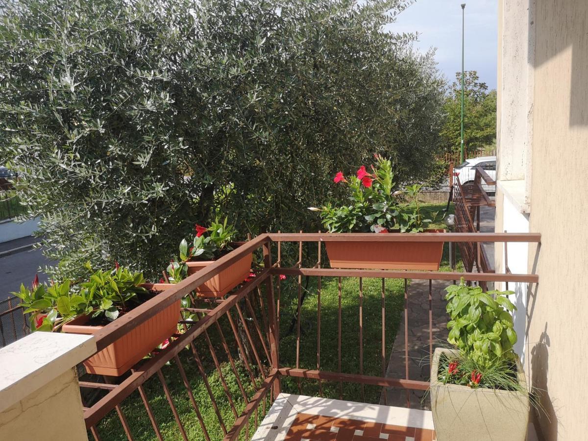 Ai Quattro Ulivi Apartment Peschiera del Garda Exterior photo